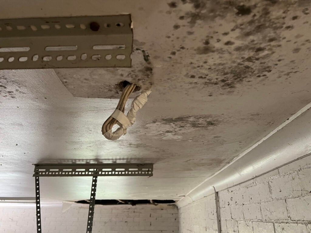 Mould Testing Services &raquo;